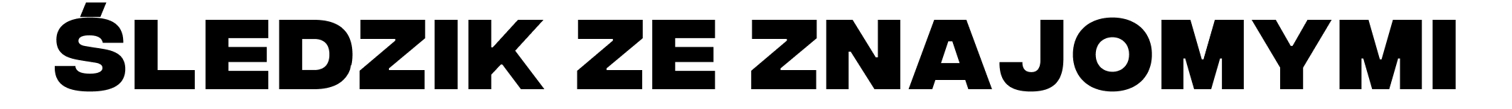 Marynarka main spódnica amieu