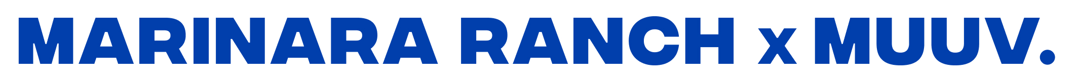 Marynarka main spódnica amieu